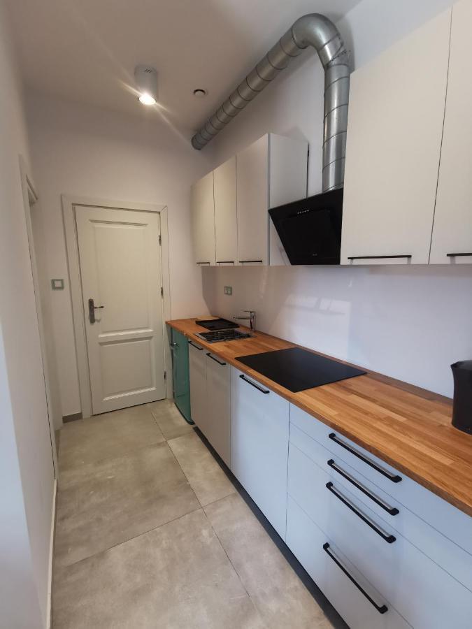 Nowe Apartamenty Zamkowa Vis A Vis Wawelu Kraków Eksteriør billede