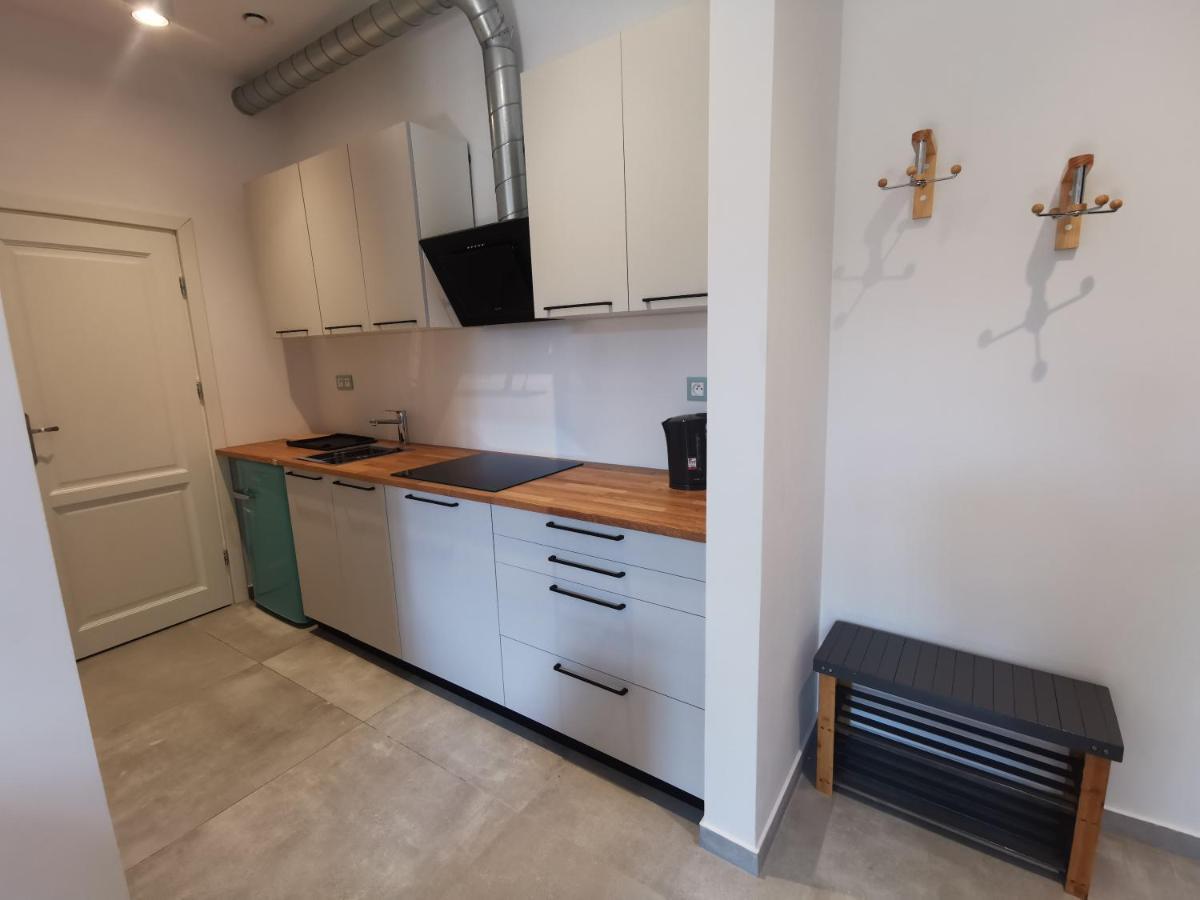 Nowe Apartamenty Zamkowa Vis A Vis Wawelu Kraków Eksteriør billede